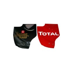 LOTUS R31 rear wing endplate