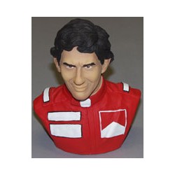 A.SENNA portrait 1/4