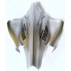 2011 MERCEDES GP engine cover