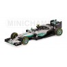 Mercedes AMG F1 W07 Nico Rosberg World Champion 2016