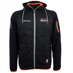 Ayrton Senna Formulasports
