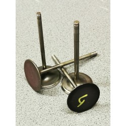 2004 FERRARI F1 Valve