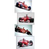Set of 4 Prints : Michael SCHUMACHER World Champion 2001-2002-2003-2004