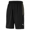 Puma Energy Knit-Mesh Hamilton Short