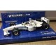 Williams FW21 Testcar MICHELIN 2000