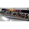 RED BULL RACING RBR R2 main rear wing