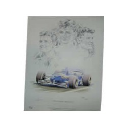 signed David COULTHARD/WILLIAMS FW17 limited edition